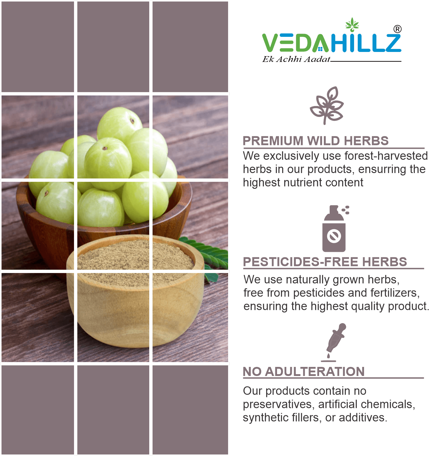Vedahillz Amla Powder Made from Premium Quality Amla (Indian Gooseberry)